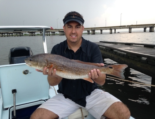 Mobile Bay Fishing Report